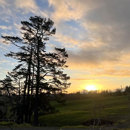 Ranfurly Holiday Home 奥克兰 外观 照片
